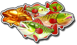 Symbol 9646
