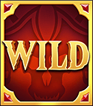 Symbol Wild