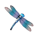 Symbol Dragonfly