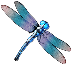 Symbol 9644
