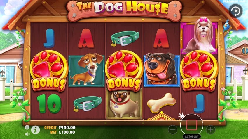  The Dog House - Bonus symbols
