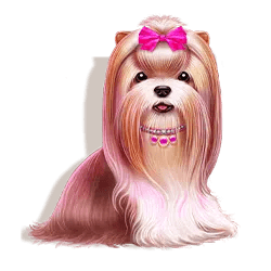 Symbol Yorkshire terrier