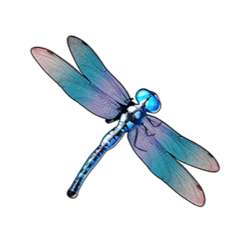 Symbol 9792