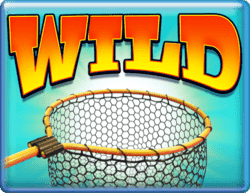 Wild symbol