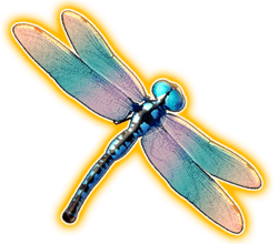 Symbol 9817